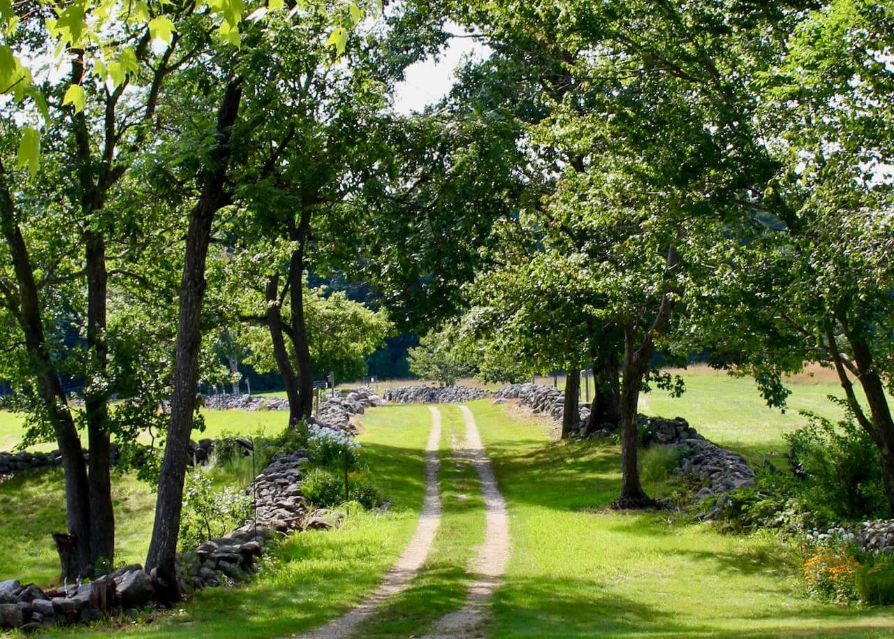 100-years,-100-days,100-facts-eBook