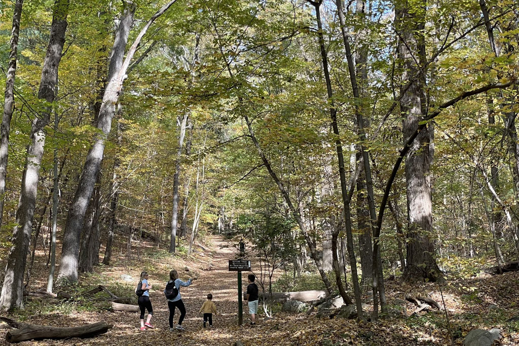 women-who-made-history-eBook