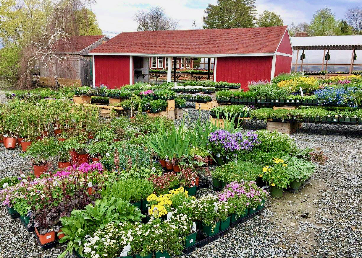 Dick’s Market Garden | Freedom's Way National Heritage Area